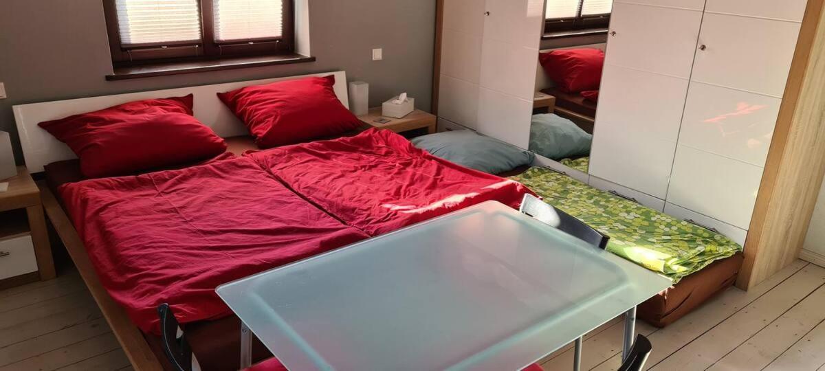 Private Room In Our Home With Free Vvo Ticket & Cats Pirna Extérieur photo