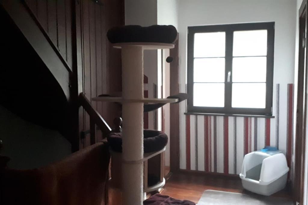 Private Room In Our Home With Free Vvo Ticket & Cats Pirna Extérieur photo