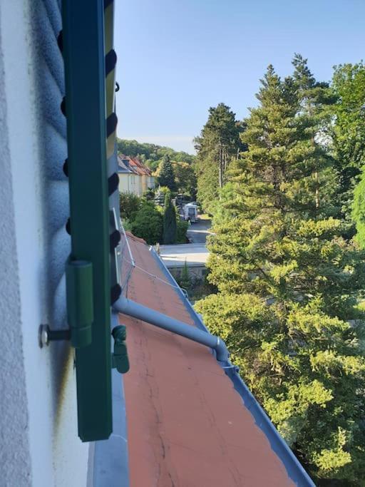 Private Room In Our Home With Free Vvo Ticket & Cats Pirna Extérieur photo