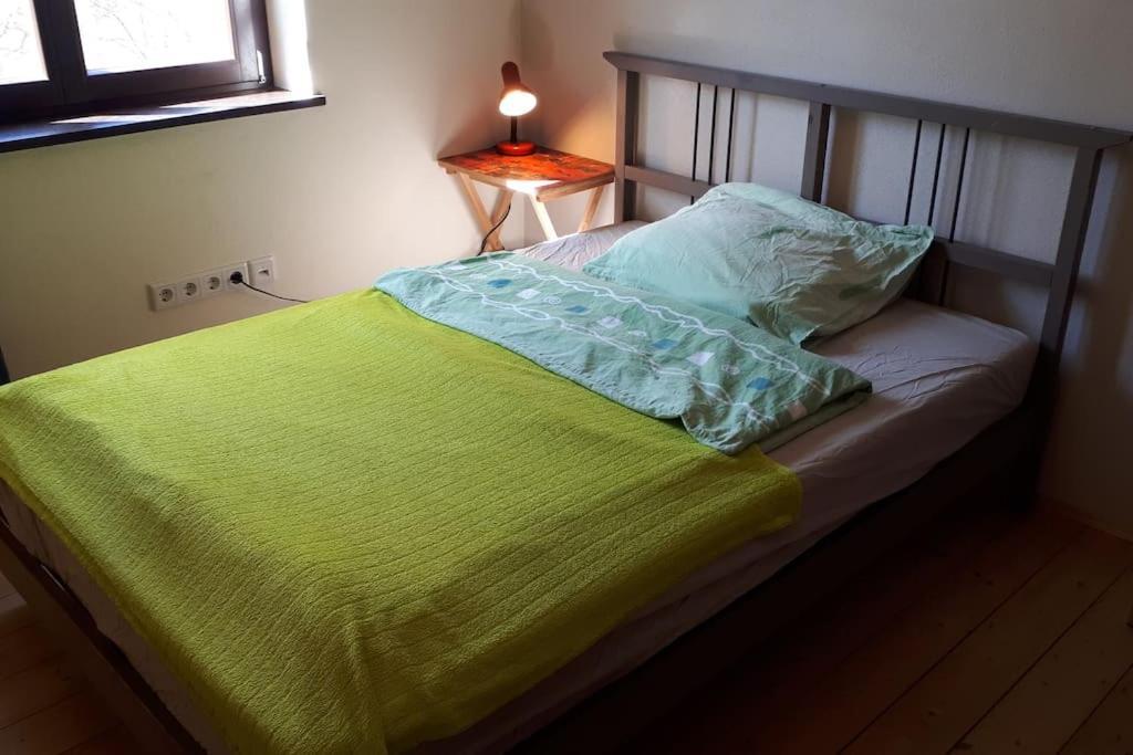 Private Room In Our Home With Free Vvo Ticket & Cats Pirna Extérieur photo