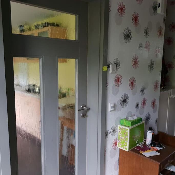 Private Room In Our Home With Free Vvo Ticket & Cats Pirna Extérieur photo