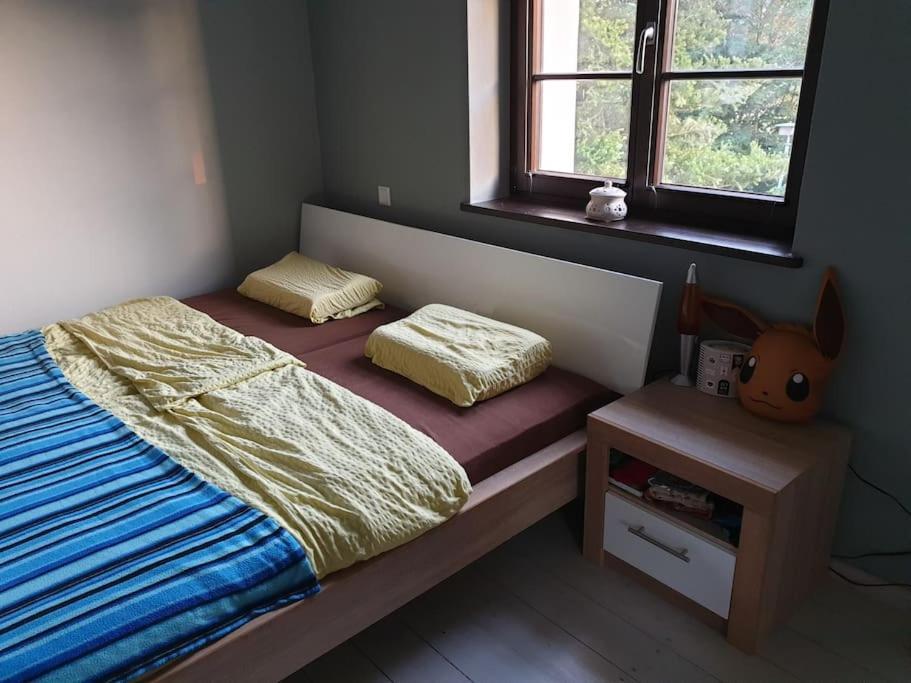 Private Room In Our Home With Free Vvo Ticket & Cats Pirna Extérieur photo