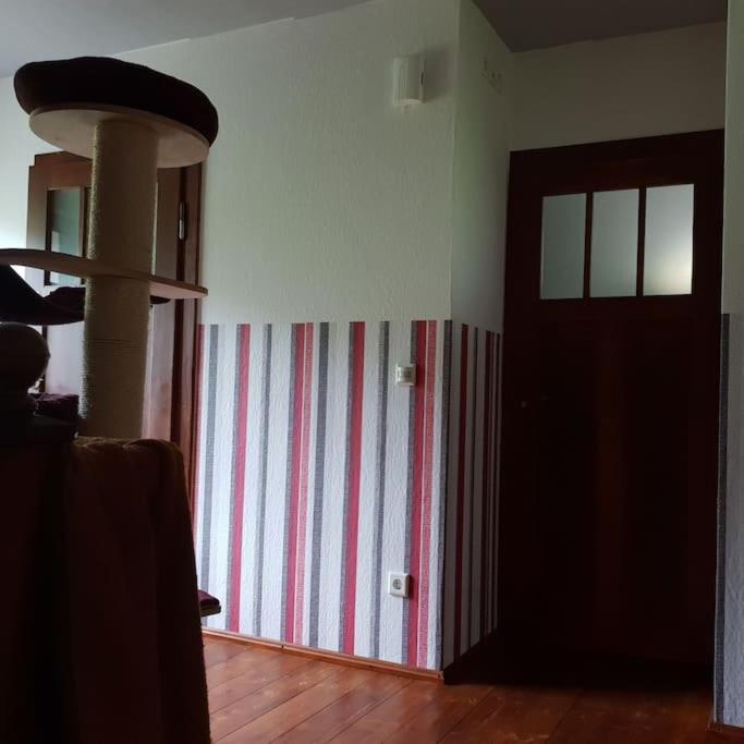 Private Room In Our Home With Free Vvo Ticket & Cats Pirna Extérieur photo