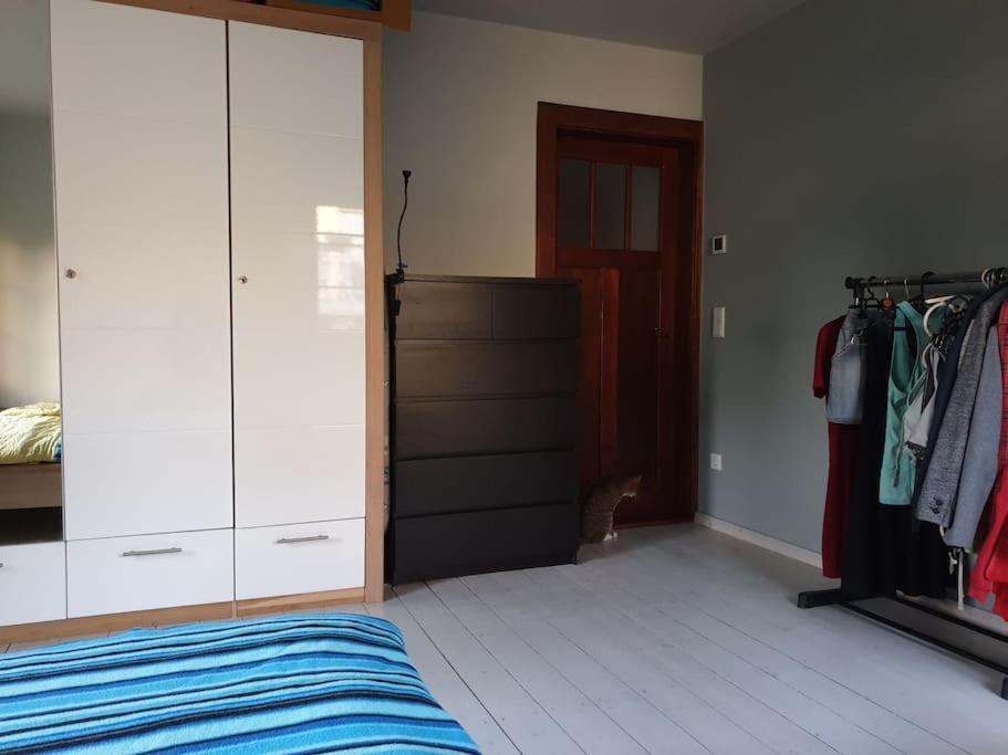 Private Room In Our Home With Free Vvo Ticket & Cats Pirna Extérieur photo