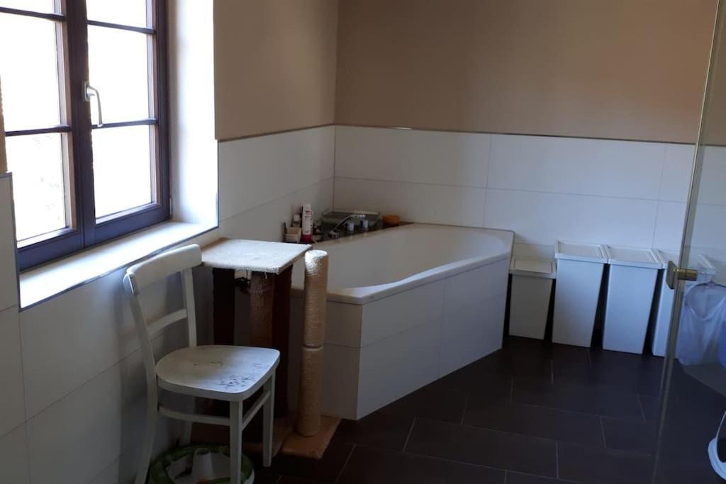 Private Room In Our Home With Free Vvo Ticket & Cats Pirna Extérieur photo