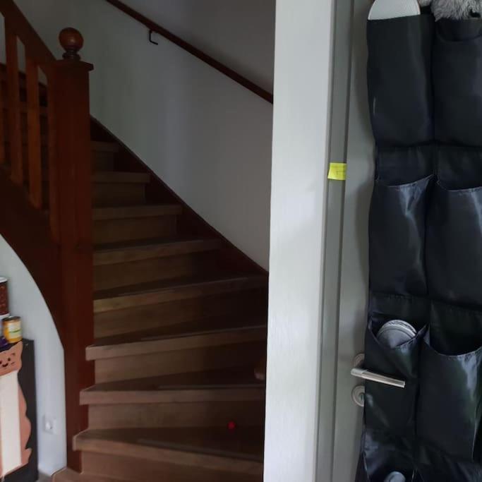 Private Room In Our Home With Free Vvo Ticket & Cats Pirna Extérieur photo