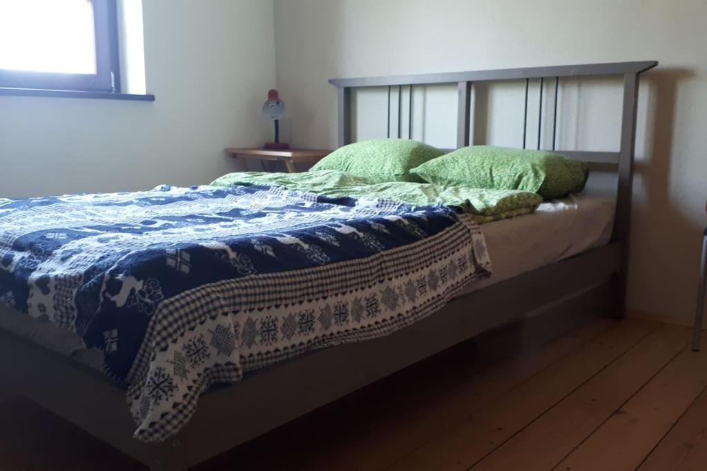Private Room In Our Home With Free Vvo Ticket & Cats Pirna Extérieur photo