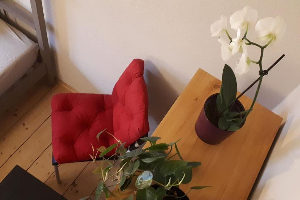 Private Room In Our Home With Free Vvo Ticket & Cats Pirna Extérieur photo