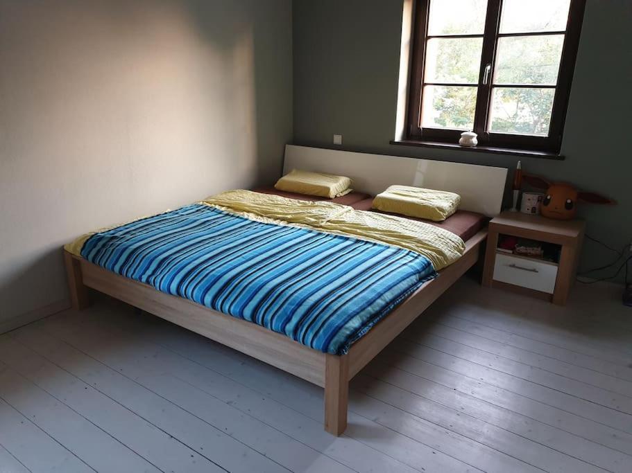Private Room In Our Home With Free Vvo Ticket & Cats Pirna Extérieur photo