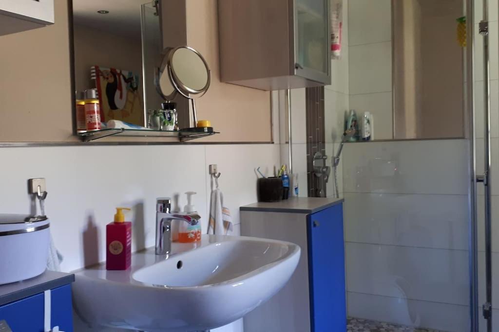 Private Room In Our Home With Free Vvo Ticket & Cats Pirna Extérieur photo