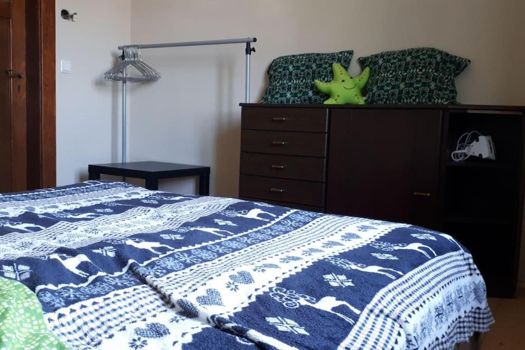 Private Room In Our Home With Free Vvo Ticket & Cats Pirna Extérieur photo